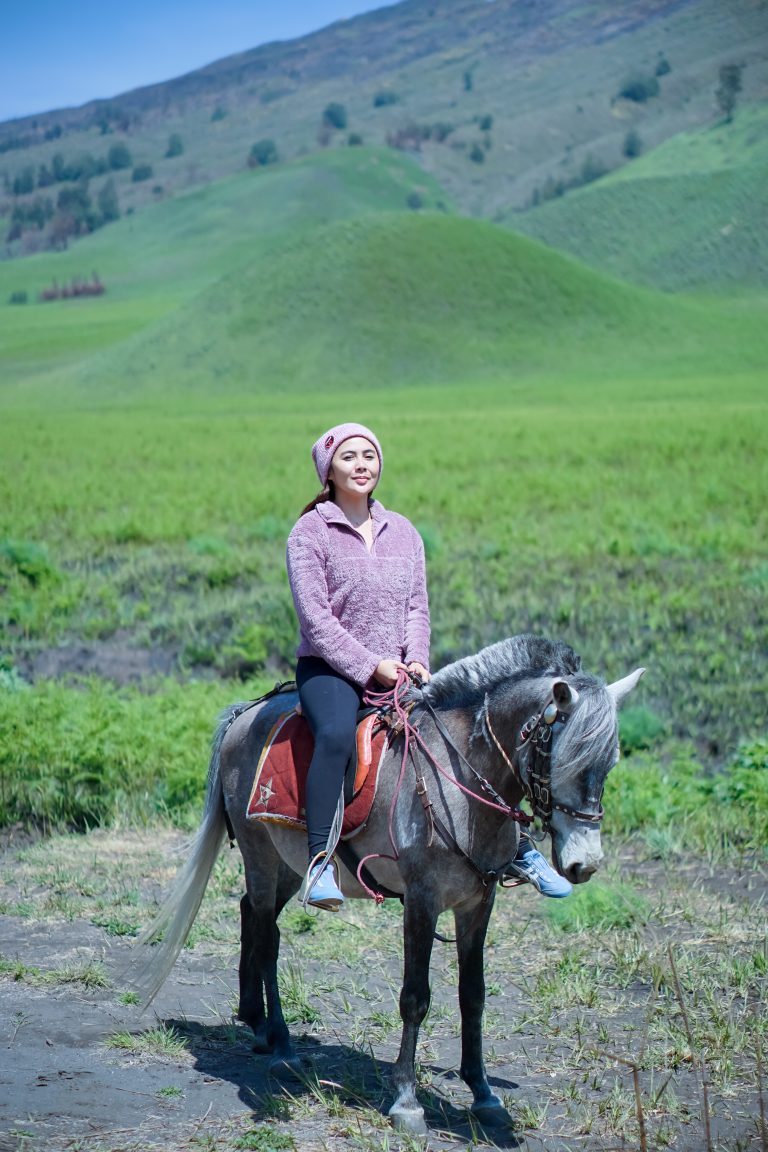 Savana/ Bukit Teletubbies